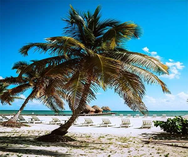 belize-beach